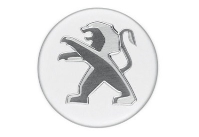 Embellecedor de  llanta blanco Banquise