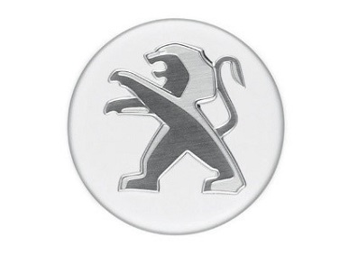 Embellecedor de llanta blanco Banquise (x4) 